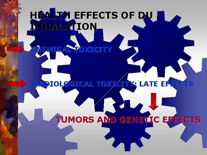 HEALTH EFFECTS OF DU INHALATION CHEMICAL TOXICITY RADIOLOGICAL TOXICITY: LATE EFFECTS TUMORS AND GENETIC