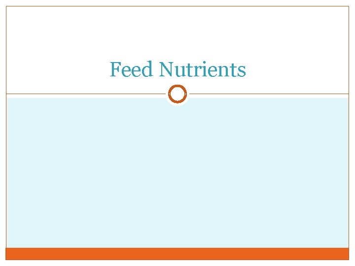 Feed Nutrients 