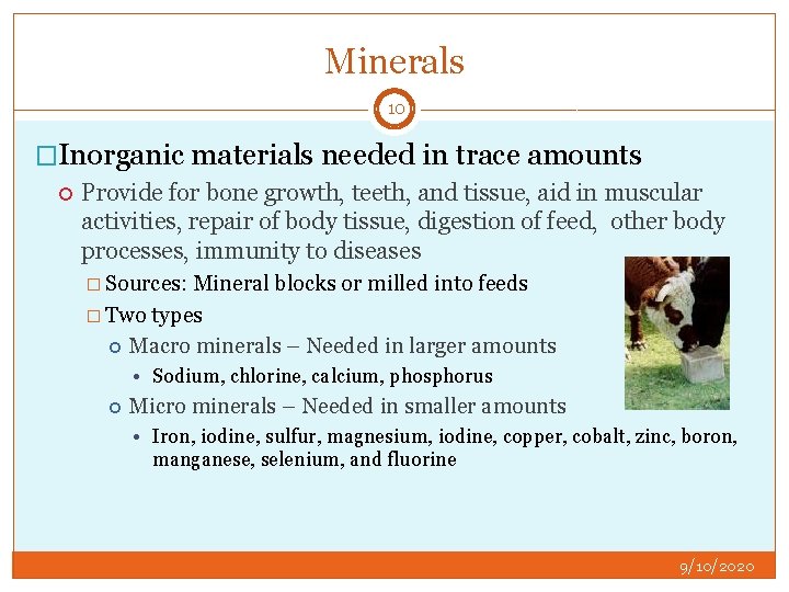 Minerals 10 �Inorganic materials needed in trace amounts Provide for bone growth, teeth, and