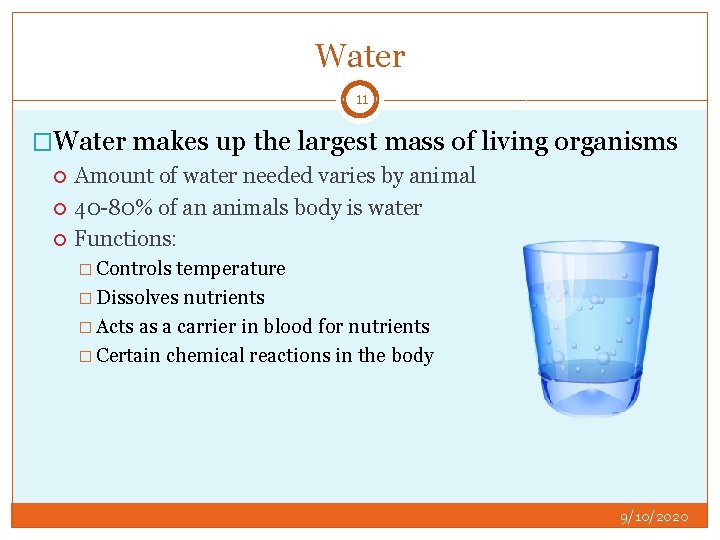 Water 11 �Water makes up the largest mass of living organisms Amount of water