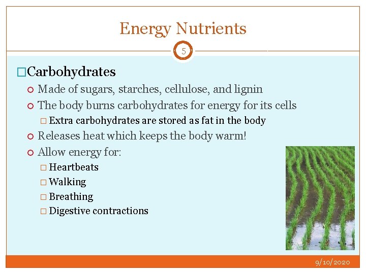 Energy Nutrients 5 �Carbohydrates Made of sugars, starches, cellulose, and lignin The body burns