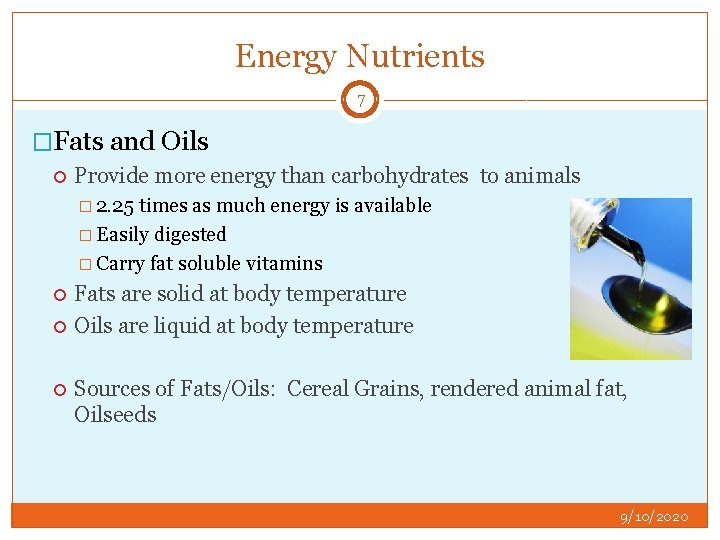 Energy Nutrients 7 �Fats and Oils Provide more energy than carbohydrates to animals �