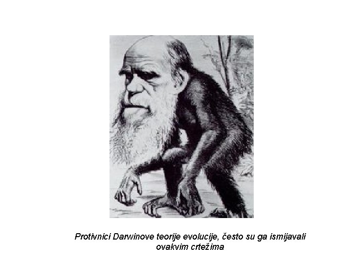 Protivnici Darwinove teorije evolucije, često su ga ismijavali ovakvim crtežima 