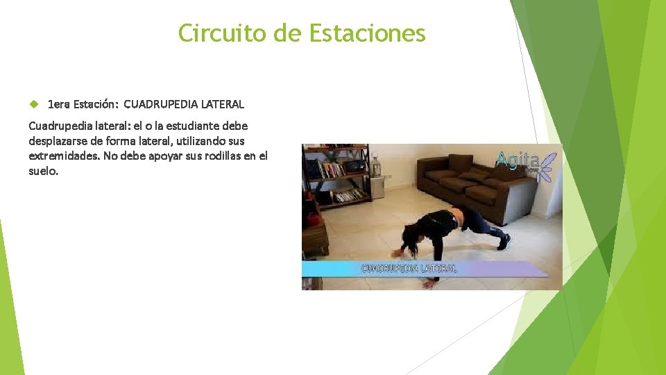 COLEGIO QUINTO CENTENARIO CORDILLERA Educacin Fsica Y Salud