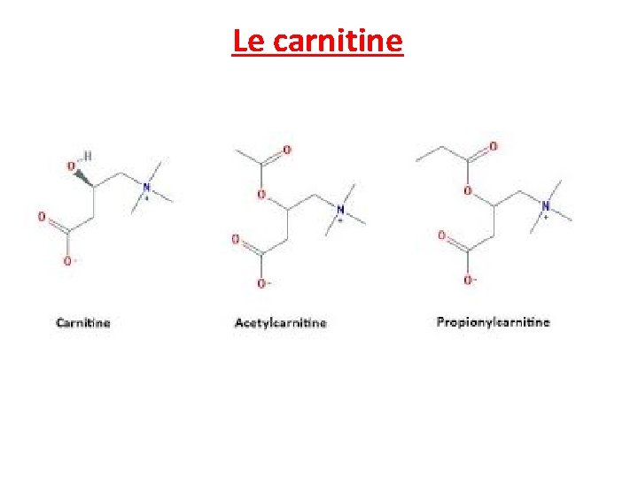 Le carnitine 