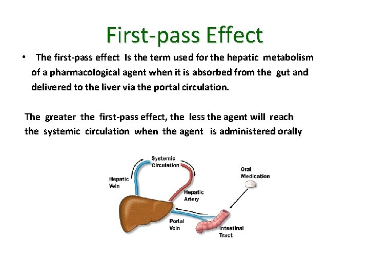 First-pass Effect • The first-pass effect Is the term used for the hepatic metabolism