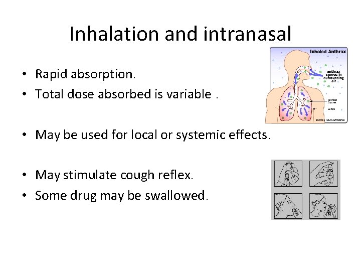 Inhalation and intranasal • Rapid absorption. • Total dose absorbed is variable. • May