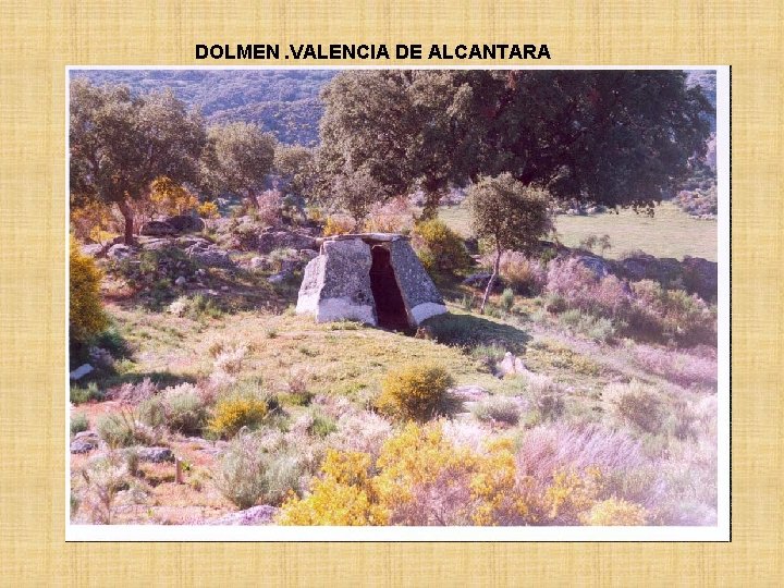 DOLMEN. VALENCIA DE ALCANTARA 