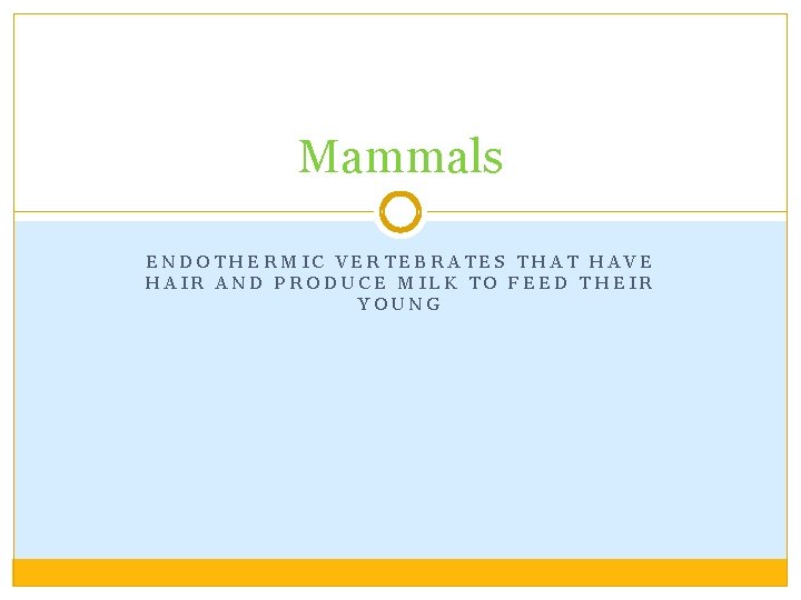 Mammals ENDOTHERMIC VERTEBRATES THAT HAVE HAIR AND PRODUCE MILK TO FEED THEIR YOUNG 