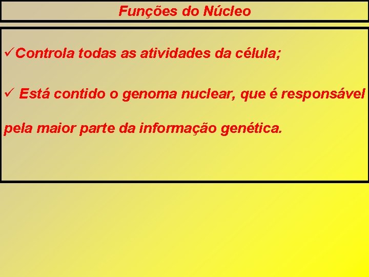 Funções do Núcleo Controla todas as atividades da célula; Está contido o genoma nuclear, Funções do Núcleo Controla todas as atividades da célula; Está contido o genoma nuclear,