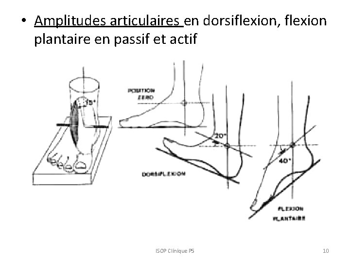 • Amplitudes articulaires en dorsiflexion, flexion plantaire en passif et actif ISOP Clinique • Amplitudes articulaires en dorsiflexion, flexion plantaire en passif et actif ISOP Clinique