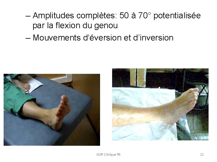 – Amplitudes complètes: 50 à 70° potentialisée par la flexion du genou – Mouvements – Amplitudes complètes: 50 à 70° potentialisée par la flexion du genou – Mouvements