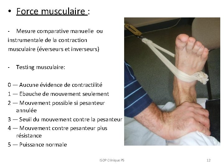 • Force musculaire : - Mesure comparative manuelle ou instrumentale de la contraction • Force musculaire : - Mesure comparative manuelle ou instrumentale de la contraction
