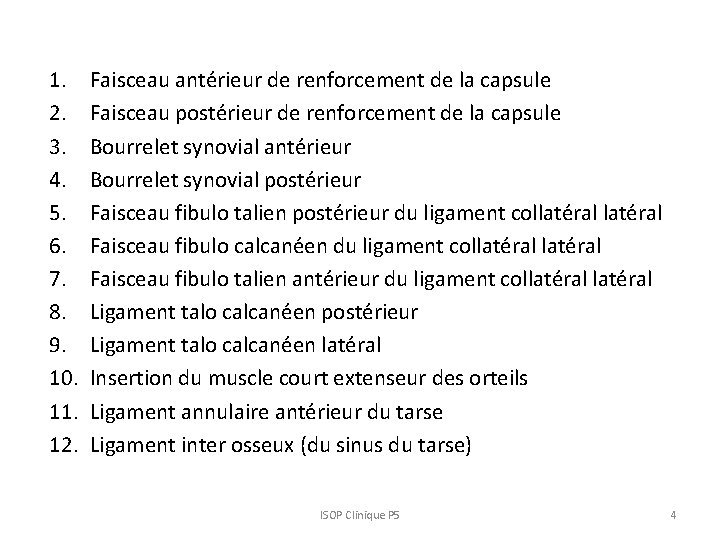 1. 2. 3. 4. 5. 6. 7. 8. 9. 10. 11. 12. Faisceau antérieur 1. 2. 3. 4. 5. 6. 7. 8. 9. 10. 11. 12. Faisceau antérieur