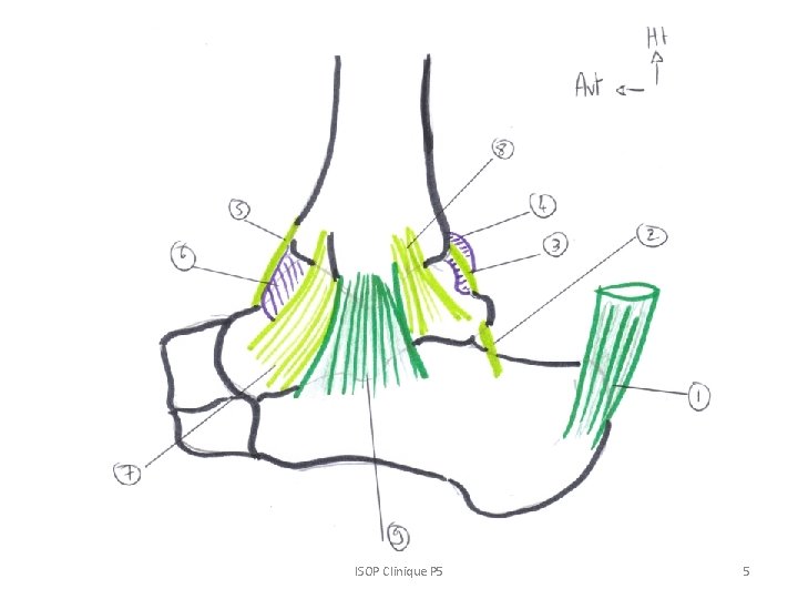 ISOP Clinique P 5 5 ISOP Clinique P 5 5