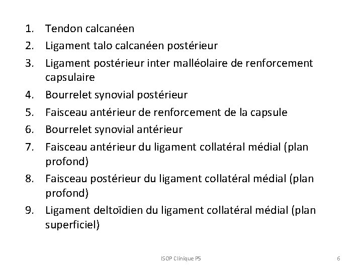 1. Tendon calcanéen 2. Ligament talo calcanéen postérieur 3. Ligament postérieur inter malléolaire de 1. Tendon calcanéen 2. Ligament talo calcanéen postérieur 3. Ligament postérieur inter malléolaire de