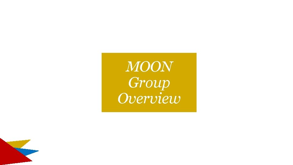 MOON Group Overview MOON Group Overview