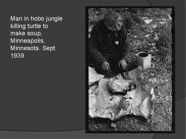 Man in hobo jungle killing turtle to make soup, Minneapolis, Minnesota. Sept. 1939 