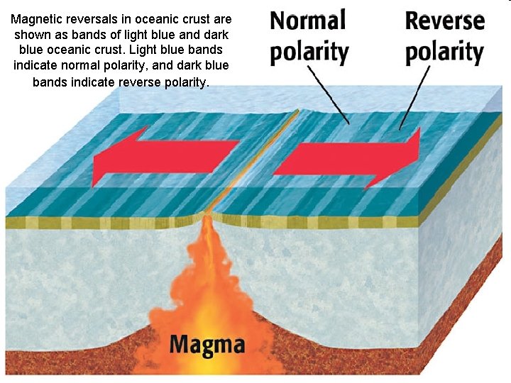 Magnetic reversals in oceanic crust are shown as bands of light blue and dark
