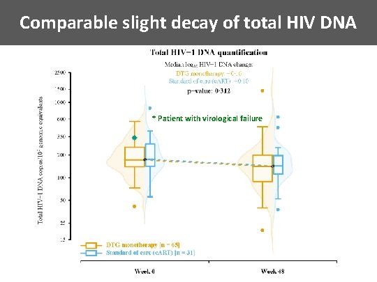 Comparable slight decay of total HIV DNA Slight decay of total proviral DNA levels