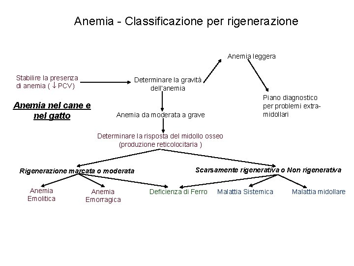 Anemia - Classificazione per rigenerazione Anemia leggera Stabilire la presenza di anemia ( PCV) Anemia - Classificazione per rigenerazione Anemia leggera Stabilire la presenza di anemia ( PCV)