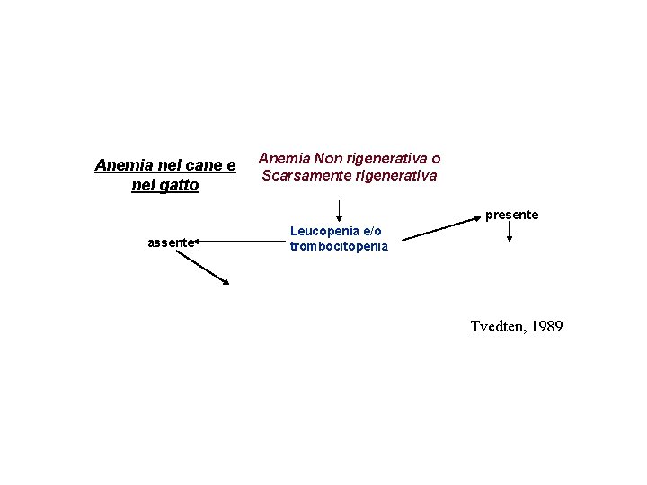 Anemia nel cane e nel gatto Anemia Non rigenerativa o Scarsamente rigenerativa presente assente Anemia nel cane e nel gatto Anemia Non rigenerativa o Scarsamente rigenerativa presente assente