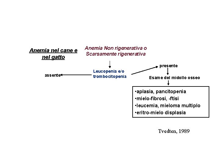 Anemia nel cane e nel gatto Anemia Non rigenerativa o Scarsamente rigenerativa presente assente Anemia nel cane e nel gatto Anemia Non rigenerativa o Scarsamente rigenerativa presente assente