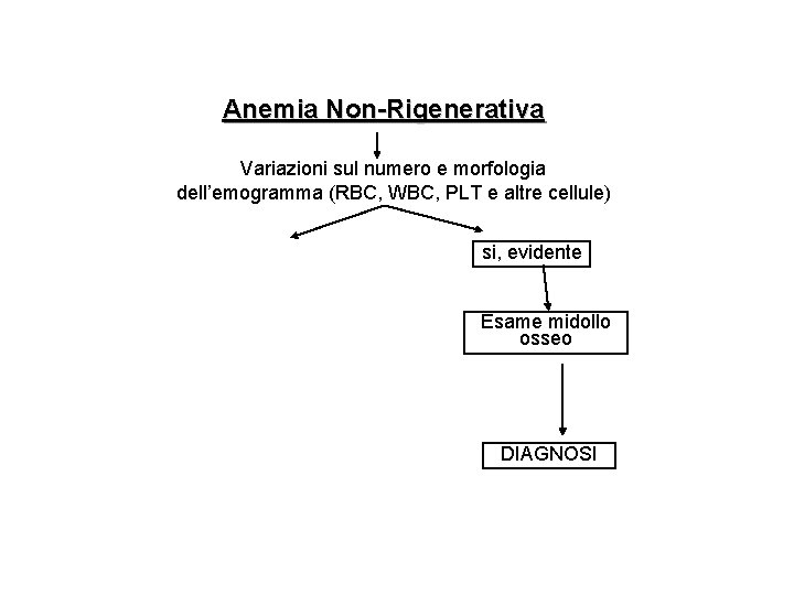 Anemia Non-Rigenerativa Variazioni sul numero e morfologia dell’emogramma (RBC, WBC, PLT e altre cellule) Anemia Non-Rigenerativa Variazioni sul numero e morfologia dell’emogramma (RBC, WBC, PLT e altre cellule)
