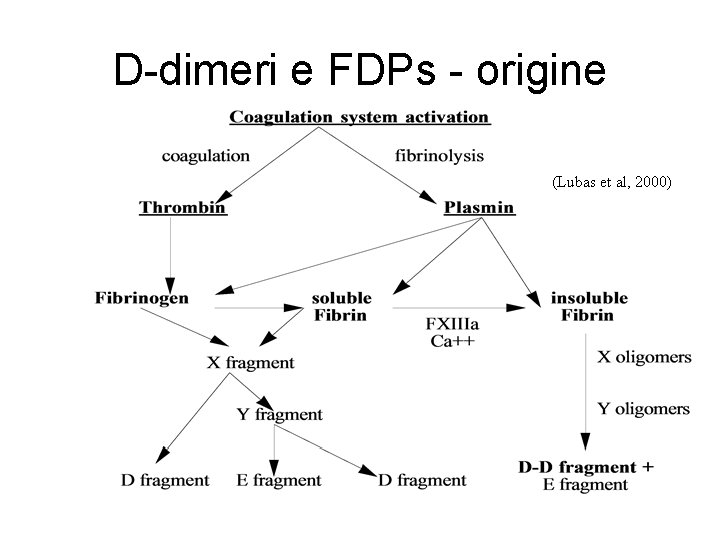 D-dimeri e FDPs - origine (Lubas et al, 2000) D-dimeri e FDPs - origine (Lubas et al, 2000)