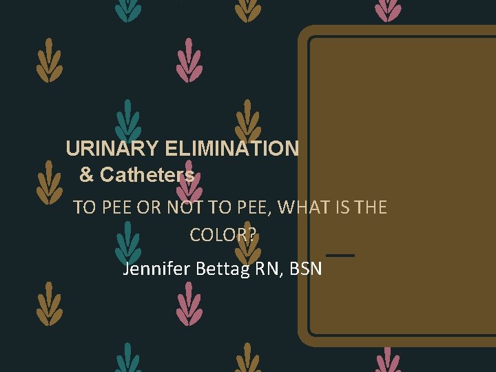 URINARY ELIMINATION & Catheters TO PEE OR NOT TO PEE, WHAT IS THE COLOR?