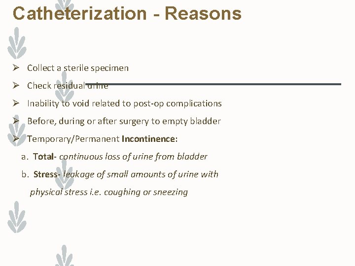 Catheterization - Reasons Ø Collect a sterile specimen Ø Check residual urine Ø Inability