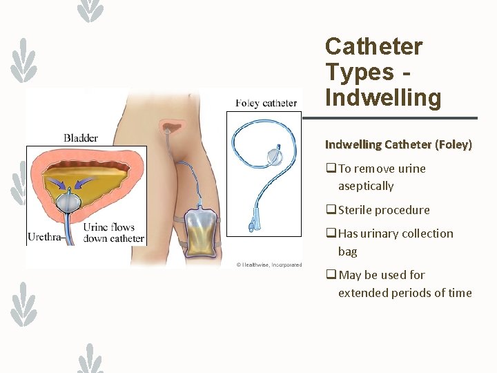 Catheter Types Indwelling Catheter (Foley) q To remove urine aseptically q Sterile procedure q