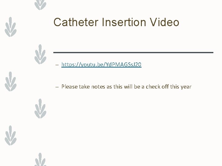 Catheter Insertion Video – https: //youtu. be/Yd. PMAGSs. J 20 – Please take notes