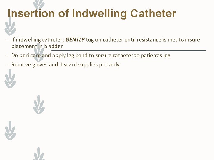 Insertion of Indwelling Catheter – If indwelling catheter, GENTLY tug on catheter until resistance