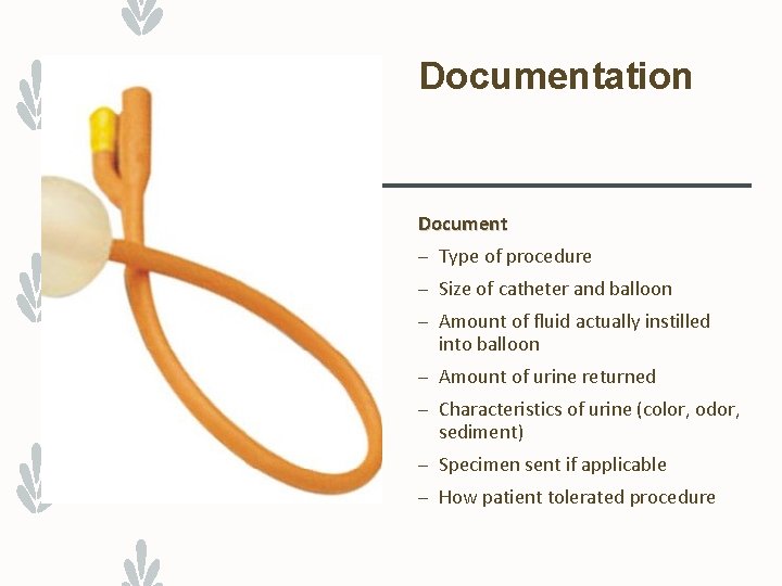 Documentation Document – Type of procedure – Size of catheter and balloon – Amount