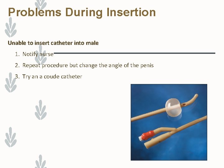 Problems During Insertion Unable to insert catheter into male 1. Notify nurse 2. Repeat