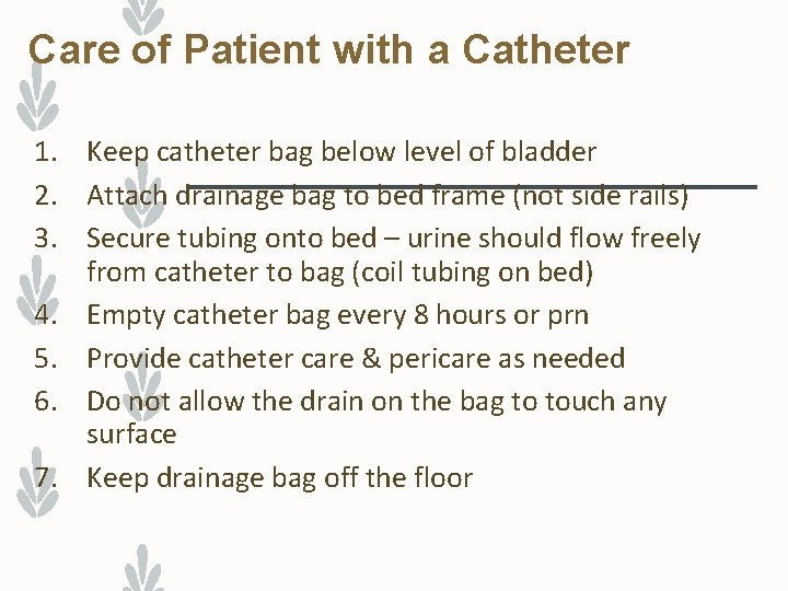 Care of Patient with a Catheter 1. Keep catheter bag below level of bladder