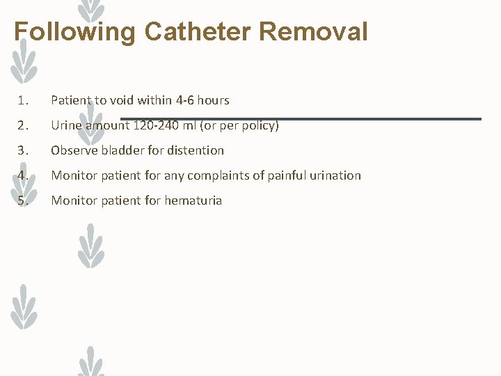 Following Catheter Removal 1. Patient to void within 4 -6 hours 2. Urine amount