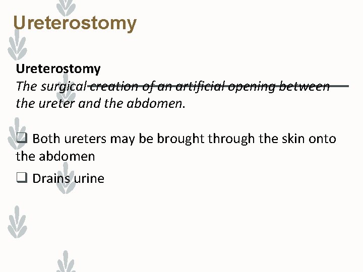 Ureterostomy The surgical creation of an artificial opening between the ureter and the abdomen.