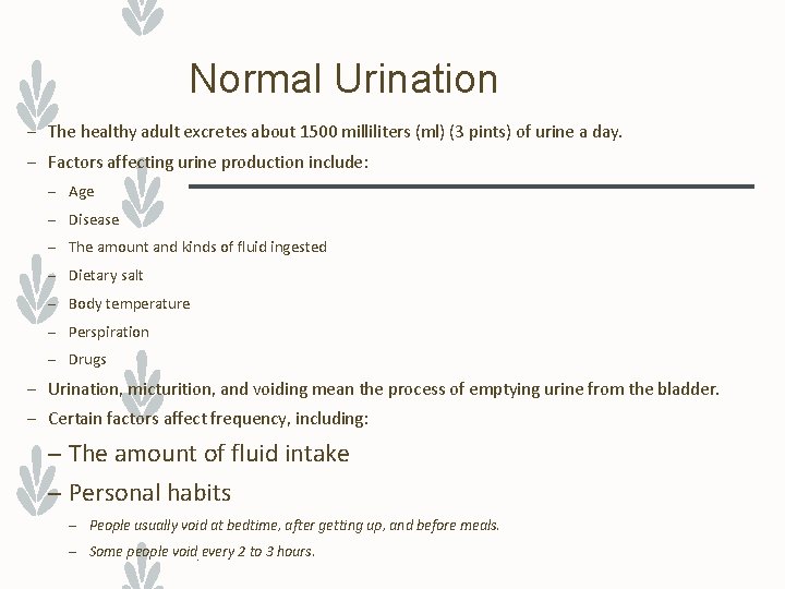 Normal Urination – The healthy adult excretes about 1500 milliliters (ml) (3 pints) of