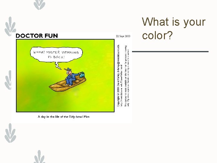 What is your color? 