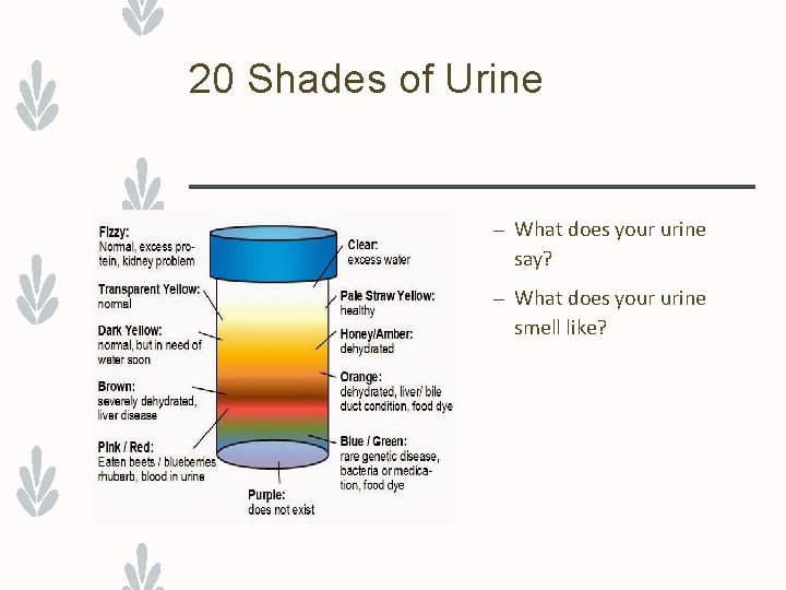 20 Shades of Urine – What does your urine say? – What does your