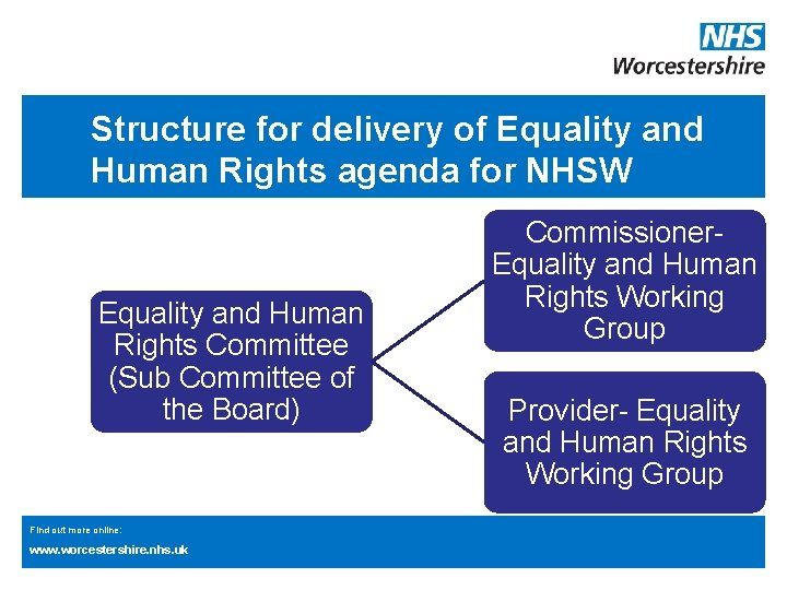 Structure for delivery of Equality and Human Rights agenda for NHSW Equality and Human