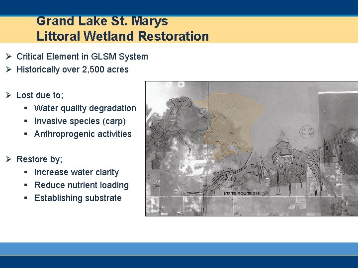Grand Lake St. Marys Littoral Wetland Restoration Ø Critical Element in GLSM System Ø