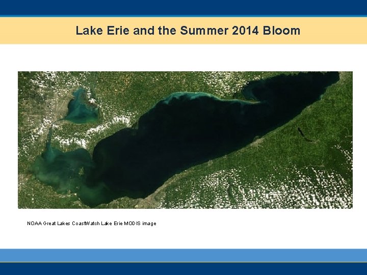 Lake Erie and the Summer 2014 Bloom NOAA Great Lakes Coast. Watch Lake Erie