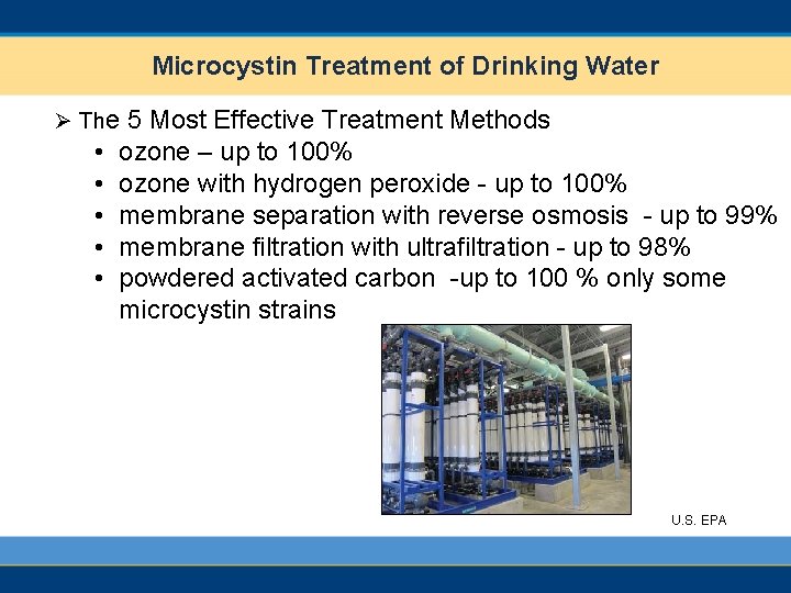 Microcystin Treatment of Drinking Water Ø The 5 Most Effective Treatment Methods • •