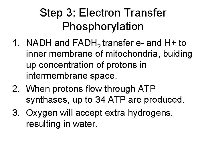 Step 3: Electron Transfer Phosphorylation 1. NADH and FADH 2 transfer e- and H+