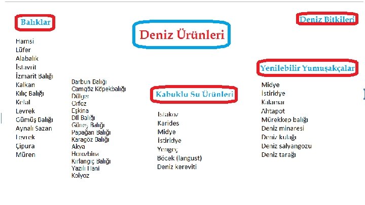  Deniz Ürünleri Deniz Btkileri Kabuklu Su Ürünleri Balıklar Yenilebilen Yumuşakçalar Tatlı Sularda Yaşayan
