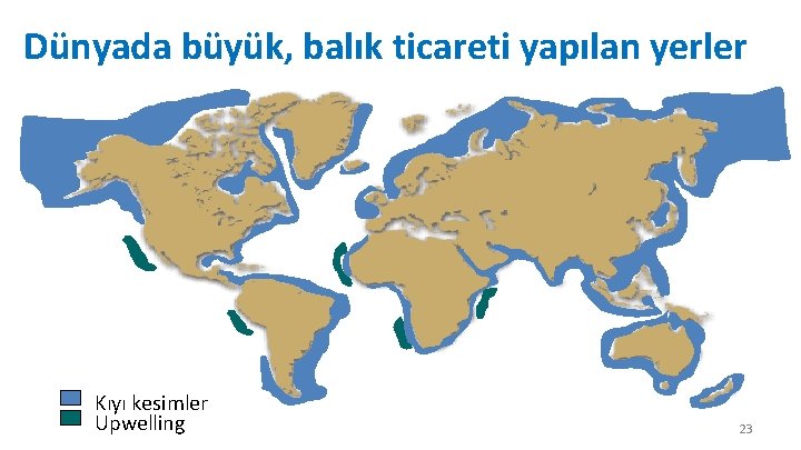 Dünyada büyük, balık ticareti yapılan yerler Kıyı kesimler Upwelling 23 