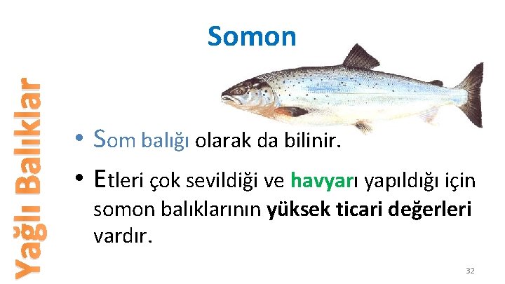 Yağlı Balıklar Somon • Som balığı olarak da bilinir. • Etleri çok sevildiği ve